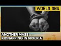 Nigeria Mass Kidnapping: Over 315 School Children & Teachers Feared Abducted | World DNA