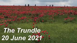 The Trundle