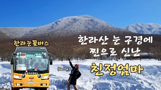 눈 올 때 놀기 좋은 한라산 (어리목휴게소) -❄️한라눈꽃버스 타고 가요😚