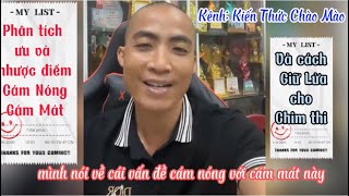 Phân tích về các dòng Cám và Phương pháp giữ Lửa cho chim hợp lí