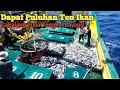 Hasil Tangkapan Terbanyak Petak Penuh Ikan Cakalang,tuna dan tongkol