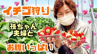 #756【80代のばあちゃん】イチゴ狩りに、行って来たよ🍓