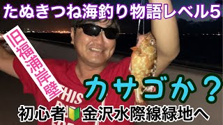 【初心者海釣り】初心者たぬきつねがカサゴを釣りに金沢水際線緑地(旧福浦岸壁)へ行ってきた！初心者/海釣り/釣り/カサゴ/金沢水際線緑地/旧福浦岸壁