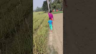 তোমরা কে কে খেয়েছো কমেন্ট করো