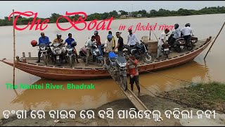 ଉଛୁଳା ମନ୍ତେଇ ନଦୀରେ ବାଇକ ଧରି ଡଙ୍ଗାରେ ପାରିହେଲୁ ଘାଟ 🙏 River crossing through a boat