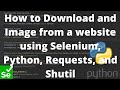 How to Download and Image from a website using Selenium, Python, Requests, and Shutil