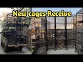 New Cages Receive Moon Aviary #moonali #birds #lovebirds #pets