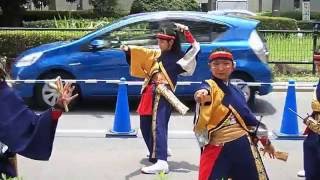 よさこい祭りIN光が丘公園 2016 K-one動流夢 さん