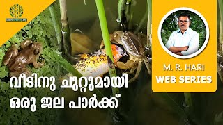 വീടിനു ചുറ്റുമായി ഒരു ജല പാർക്ക് | FISH POND NEAR HOUSE | FISH FARMING & FISH POND CONSTRUCTION