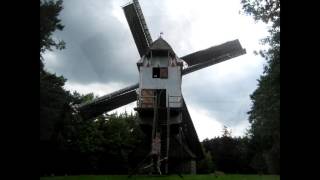 Le Sahara de Lommel et le moulin d'Overpelt. Limbourg ( Belgique )