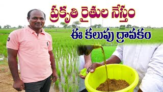 E28 | సహజ కలుపు నివారణి ఒక వరం | Zero Weed in Paddy! | @GramaBazaar