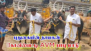 கோவில்பட்டி AVM பாபு மாடு மாணிக்கம் குருப்ஸ்