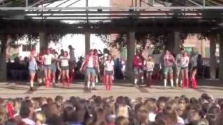 Pi Beta Phi & Alpha Delta Phi & Chi Phi