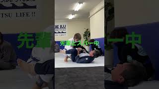 ［柔術スパーリング］先輩とスパーリング中# #bjj #jiujitu #ブラジリアン柔術 #柔術 #ブラジリアン柔術テクニック動画 #スパーリング