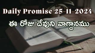 నేను నిన్ను ఏర్పరచుకొనియున్నాను ఇదే సైన్యములకు అధిపతియగు యెహోవా వాక్కు | Haggai 2:23 | Daily Promise