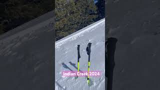 Backcountry ski. Indian creek, Hailey, ID. 2024. Charlie and Berr