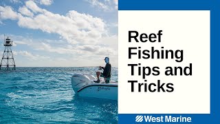 Reef Fishing Tips Presented by Into the Blue