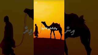 Insaanaky musafir ☝🏼 #islamicvideo #nasheed #calltoislam #islamicshorts #practicingislam