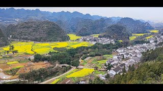 貴州 萬峰林油菜花田