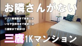 🏘️【室内を演出するとこんなに変わる！】三鷹1人暮らし  ワンルームマンション 【ピキハウス】4F　内見動画