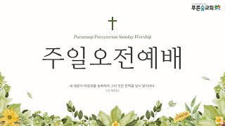 먼저 그 나라와 & 예수님 때문에 & 나의 영혼이 잠잠히 [평택푸른숲교회 worship] - 8월 25일