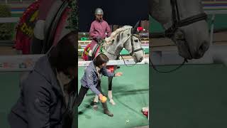 リンゴをボロボロこぼすミューチャリー #船橋競馬 #ミューチャリー