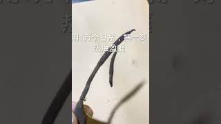 同学们在农场系统学习羊肚菌全套核心技术，顺手学习了虫草技术！