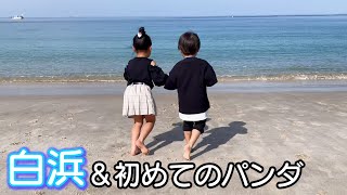 アドベンチャーワールドで人生初めてのパンダ＆白浜で大はしゃぎ