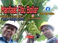 Manfaat Abu Boiler Pabrik Kelapa Sawit