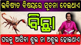 ଘରକୁ ବିଛା ଆସିବାର ଅର୍ଥ କଣ ? ଶୁଭ ଅଶୁଭ ସଂକେତ || Ajira Anuchinta Sadhubani ||