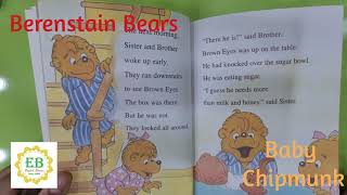 Baby Chipmunk (Berenstain Bears)