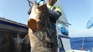 2015.08.23  伊豆の国市在住の垣見さん　見事モロコ１６．６キロゲット！(*'▽'*)