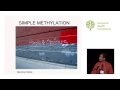 methylation how 1 carbon affects your brain your dna and everything — tim gerstmar n.d. ahs14