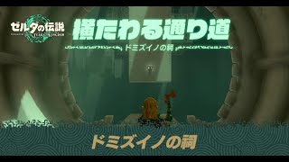 ドミズイノの祠｢横たわる通り道」の攻略【ゼルダの伝説ティアキン】