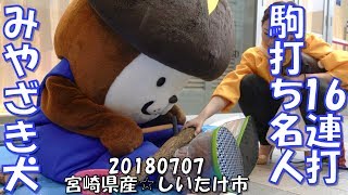 [みやざき犬]20180707_しいたけひぃくん駒打ち_宮崎県産☆しいたけ市