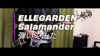 ELLEGARDEN 「Salamander」（歌詞、和訳付き）【ギター】【弾いてみた】