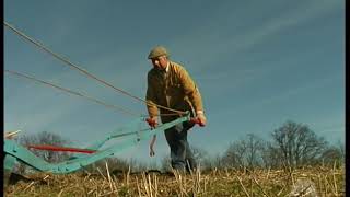 Horses Ploughing with Roger Clark in Suffolk, England, 1998