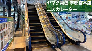 ヤマダ電機 宇都宮本店 下りエスカレーター【HITACHI】