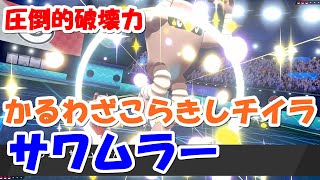 圧倒的破壊力！！かるわざこらきしチイラのみ　サワムラー『ポケモン剣盾』