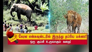 கண்ணில்பட்ட அனைத்தையும் அடித்து நொறுக்கிய யானை! | அத்தியாயம் 1