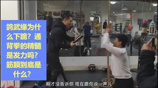 鸽武缘为什么下跪？通背拳的精髓是发力吗？筋膜到底是什么？