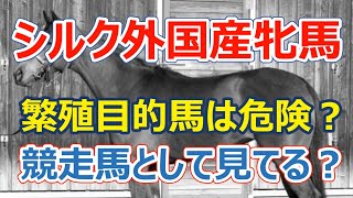 【一口馬主】外国産牝馬は繁殖用途で競走馬として扱われない？