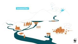 Understanding Environmental Flows