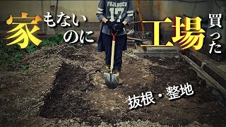 【建物のそばに木は植えるな】ウチの嫁ひたすら穴を掘る【抜根・整地】