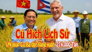 Cuba Công Bố Sản Lượng Lúa Kỷ Lục: Giống Lúa Việt Cứu Cả Quốc Gia Thoát Đói Nghèo!