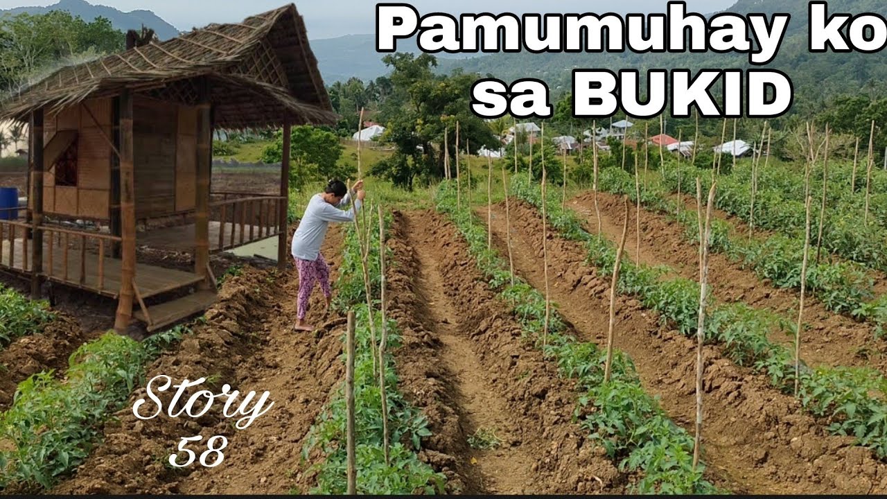 A Simple Lifestyle Here In The Philippines | Buhay Bukid - YouTube