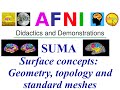 [AFNI Academy] Surface concepts: Geometry, topology and standard meshes