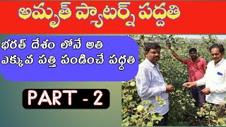 అమృత్ ప్యాటర్న్ || best cotton farming techni || @Aaryan farm vlogs