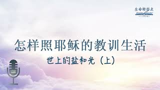 怎样照耶稣的教训生活 - 世上的盐和光（上）