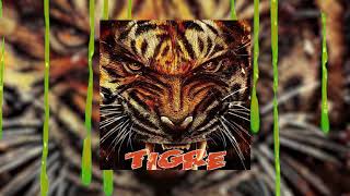 Tali Goya - Tigre Freestyle (Official Audio)